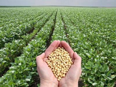 农业生产托管服务组织贷款