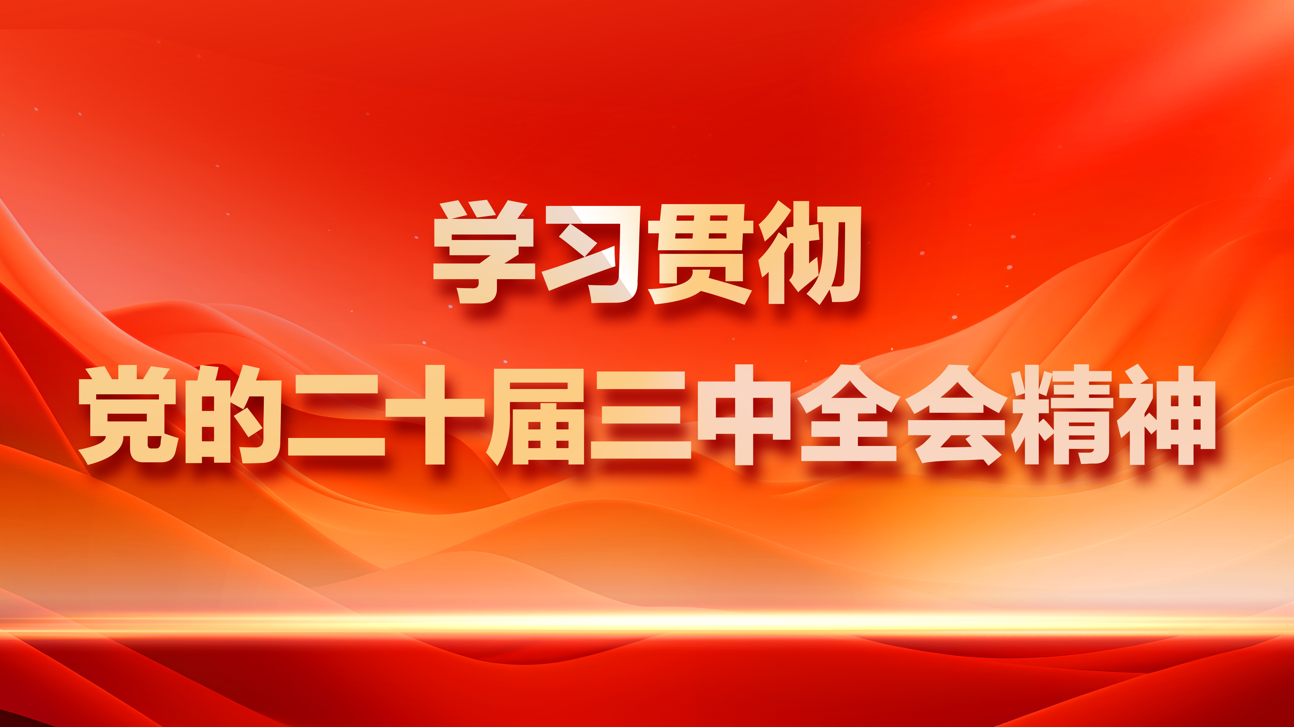 学习贯彻党的二十届三中全会精神